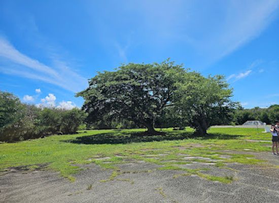 northern-mariana-islands/tinian/landmark/north-field