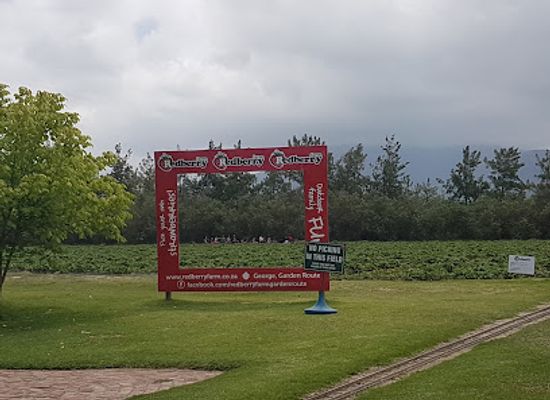 south-africa/overberg/landmark/redberry-farm