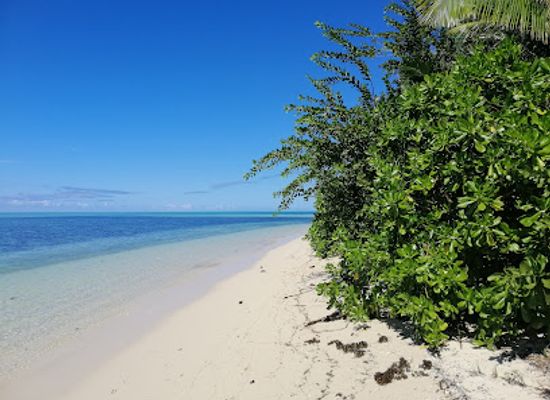 fiji/central-division/landmark/leleuvia-island
