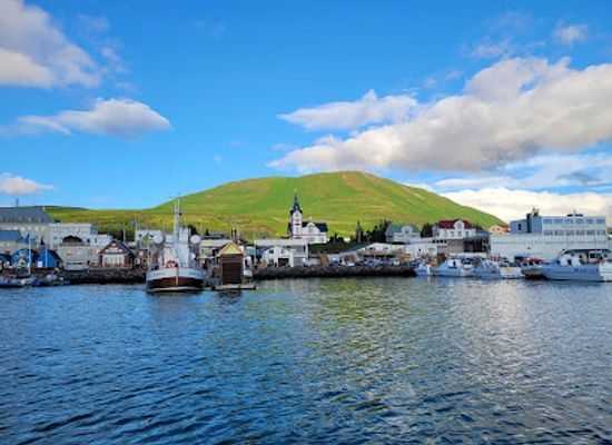 iceland/húsavík/landmark/north-sailing-husavik-whale-watching