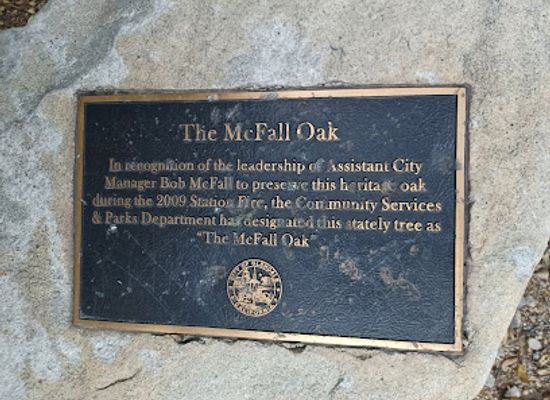 california/los-angeles-county/landmark/mcfall-oak-monument