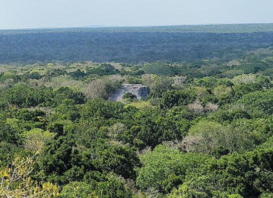 mexico/lacandon-jungle/landmark/calakmul