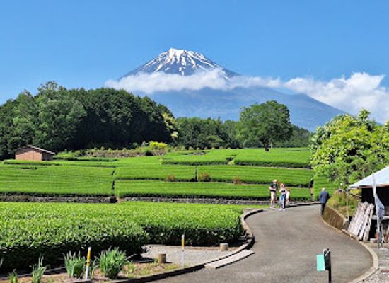 japan/tajima/landmark/obuchi-sasaba