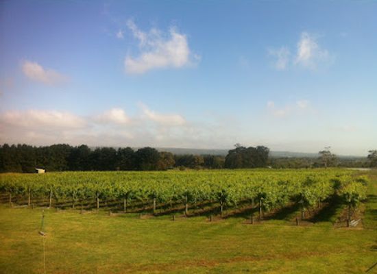 australia/mornington-peninsula/landmark/phaedrus-estate
