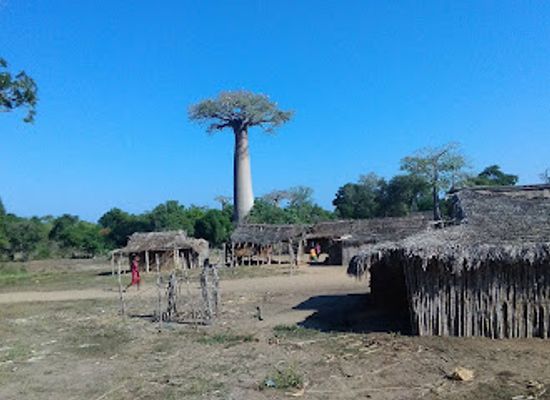 madagascar/menabe/landmark/reserve-speciale-d-andranomena