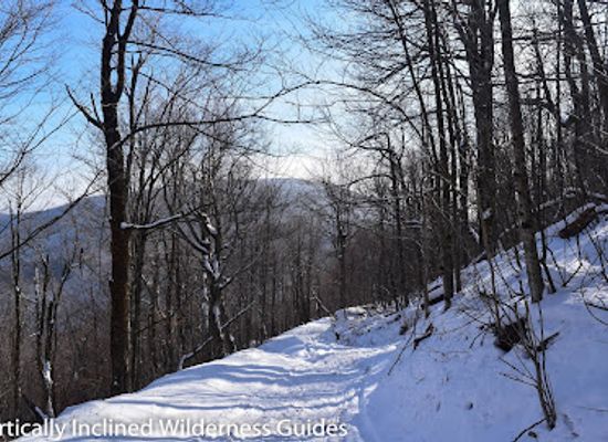 new-york/hunter-mountain/landmark/vly-mountain