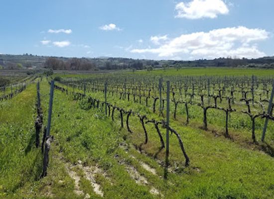 spain/ronda/landmark/bodega-garcia-hidalgo