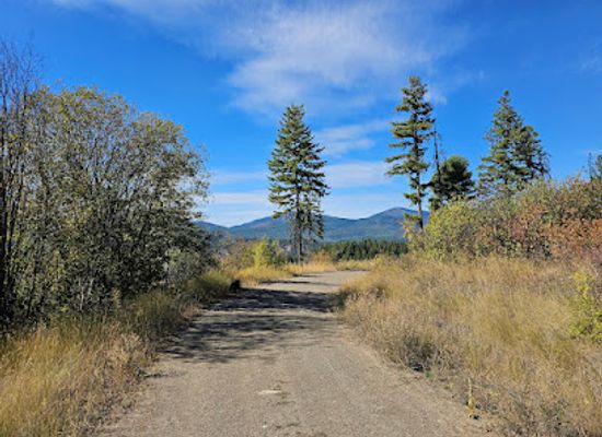 idaho/panhandle/landmark/colville-national-forest