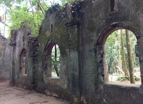 vietnam/red-river-delta/landmark/bavi-church-ruins