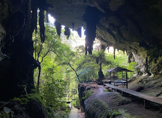 malaysia/sarawak/landmark/niah-national-park