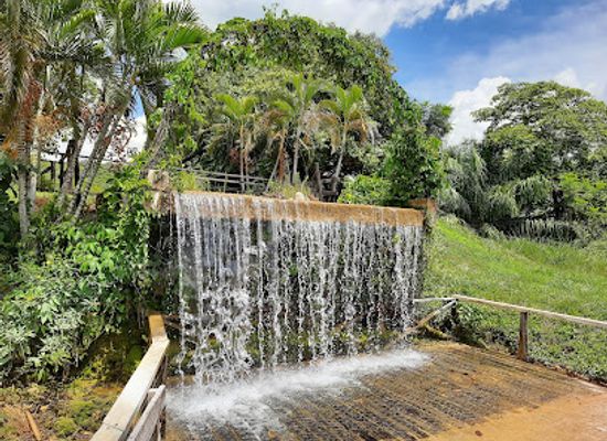 brazil/pantanal/landmark/nascente-azul