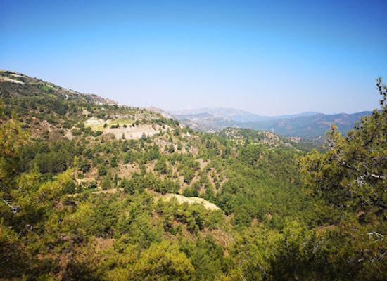 cyprus/tylliria-region/landmark/paphos-forest