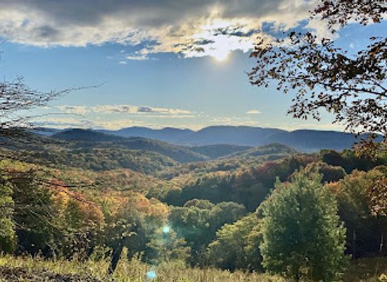 west-virginia/monongahela-national-forest/landmark/bickle-knob-observation-tower