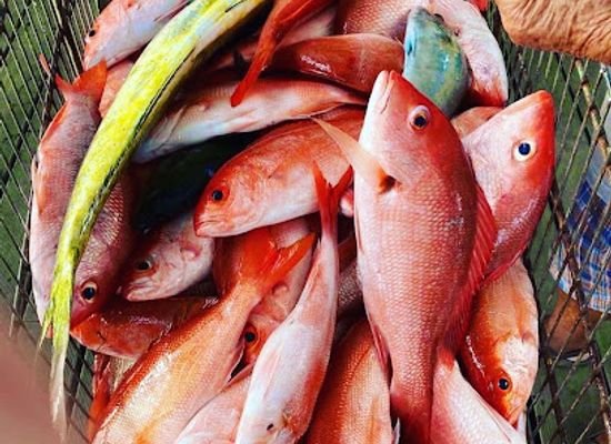 aruba/pos-chiquito/landmark/centro-di-pesca-spaans-lagoen