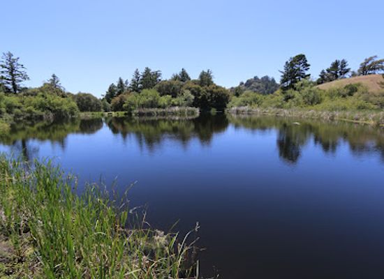 california/redwood-city/landmark/russian-ridge-open-space-preserve