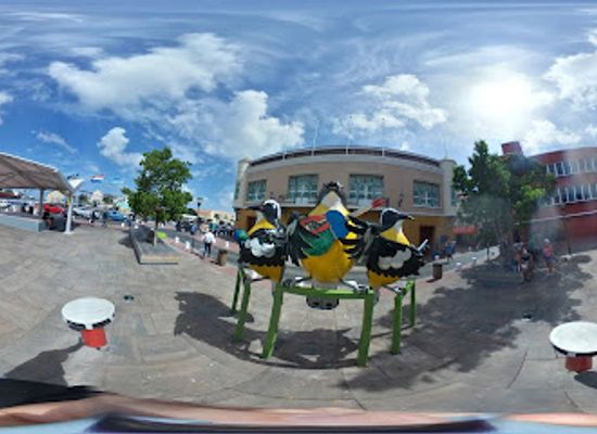 curacao/punda/landmark/dove-statue