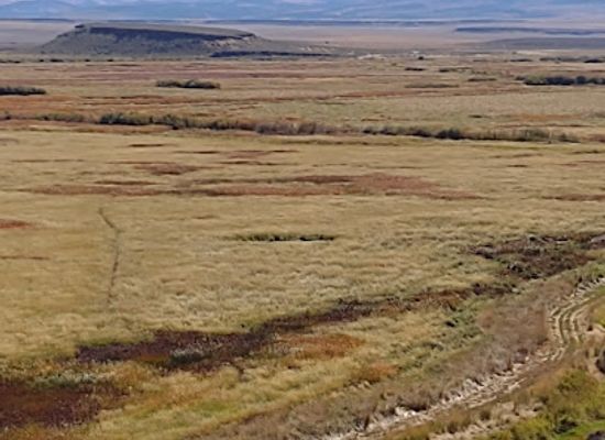 oregon/harney-basin/landmark/harney-county-migratory-bird-festival