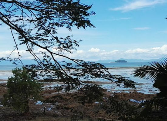 madagascar/diego-suarez/landmark/mahatsingo-sacred-tree