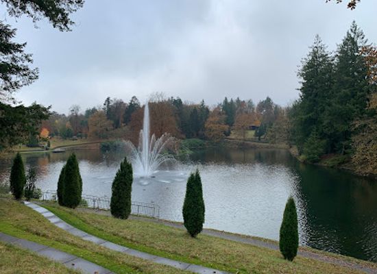 netherlands/veluwe/landmark/wild-boar-park-berg-en-bos