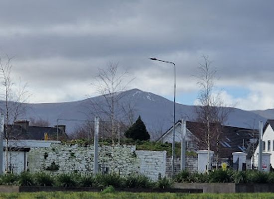 ireland/tralee/landmark/tamarind-tralee