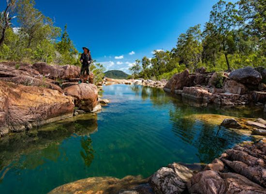 australia/hinchinbrook-island/landmark/absolute-north-charters