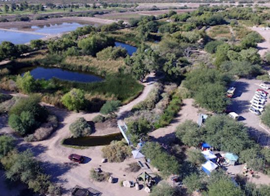 arizona/santa-catalina-mountains/landmark/sweetwater-wetlands-park