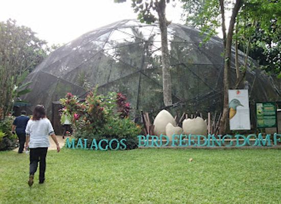 philippines/davao-region/landmark/bird-feeding-dome