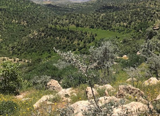 iraq/dohuk-governorate/landmark/mar-yaqo-qe-she-far