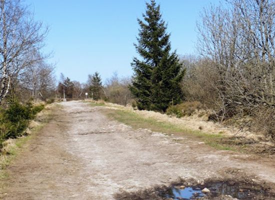 belgium/hautes-fagnes/landmark/cross-of-the-engaged