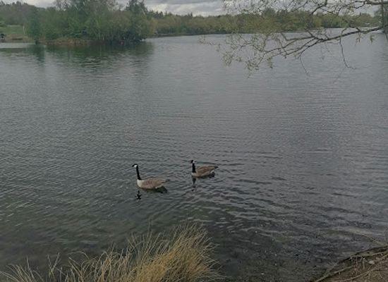 united-kingdom/the-cotswolds/attraction/barnsley-park-2