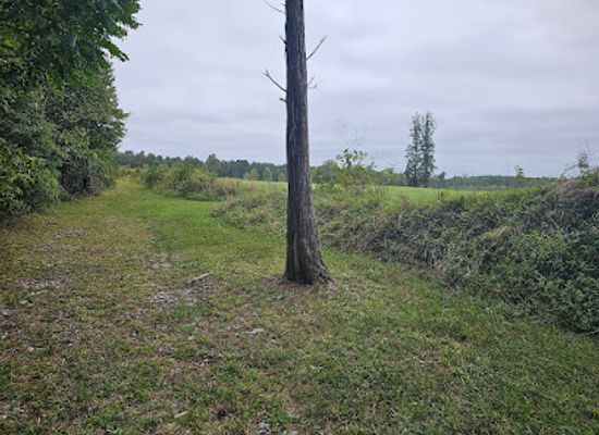 virginia/petersburg/landmark/fort-welch