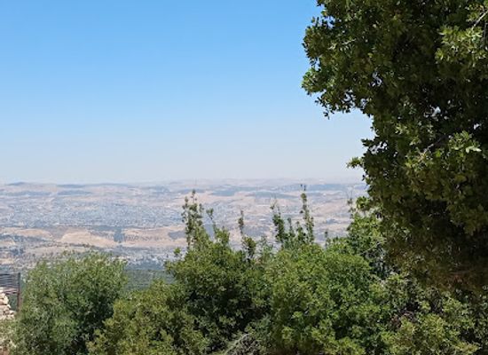 jordan/ajloun-forest-reserve/landmark/alma-wa-for-nature-and-wildlife