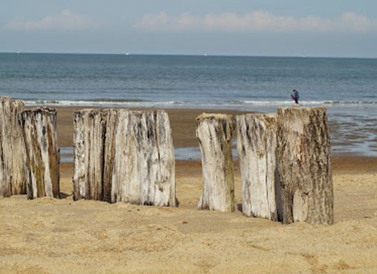 belgium/the-belgian-coast/landmark/zwin-natuur-park