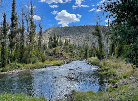 australia/kosciuszko-national-park/landmark/yarrangobilly-caves-thermal-pool-walk