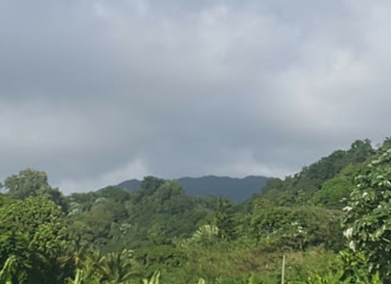 saint-vincent-and-the-grenadines/georgetown/landmark/going-places-travel