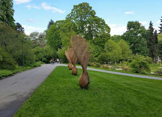 norway/oslo/landmark/the-botanical-garden
