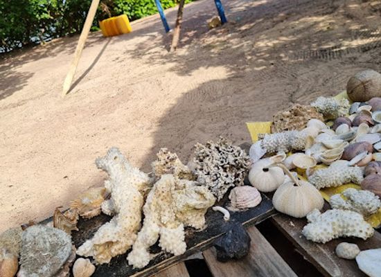 tanzania/tanga/landmark/toten-island