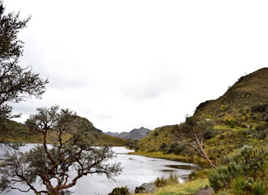 ecuador/el-oro-region/landmark/parque-nacional-cajas