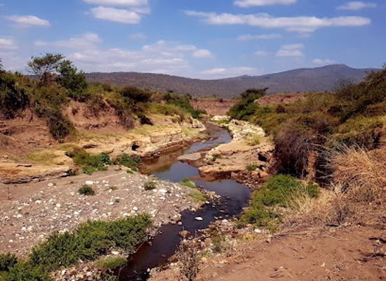 kenya/lake-magadi/landmark/olorgesailie-prehistoric-site