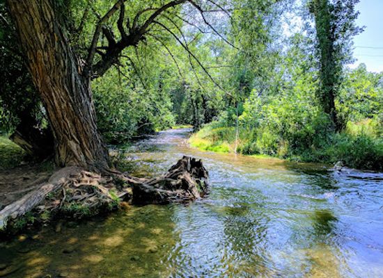 south-dakota/black-hills/landmark/salem-park