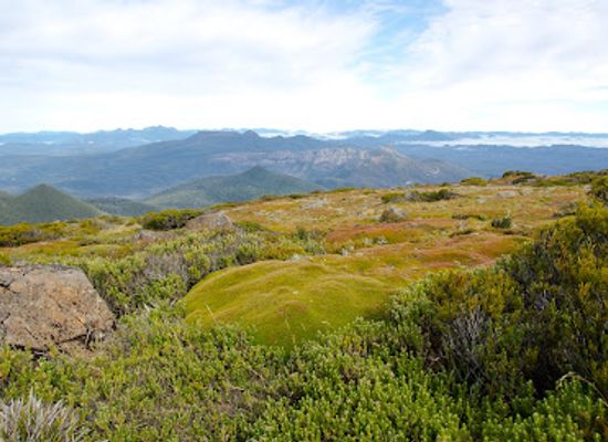 australia/mount-field-national-park/landmark/mount-field-west