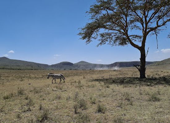 kenya/amboseli-national-park/landmark/hells-gate-national-park