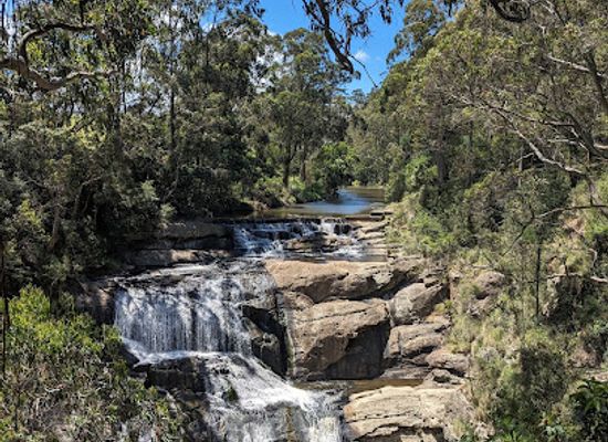 australia/gippsland/landmark/agnes-falls