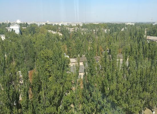 ukraine/kherson/landmark/dniprovskyi-market