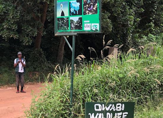 ghana/ashanti-region/landmark/owabi-wildlife-sanctuary