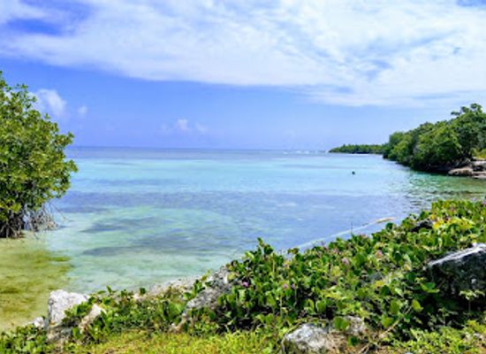 jamaica/black-river-great-morass/landmark/greenwood-great-house