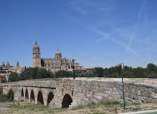 spain/salamanca/san-bernardo/landmark/verraco-del-puente