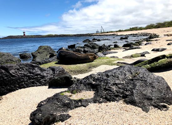 ecuador/puerto-baquerizo-moreno/landmark/playa-baquerizo