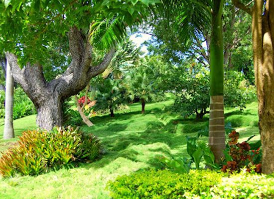 grenada/saint-george/landmark/sunnyside-garden