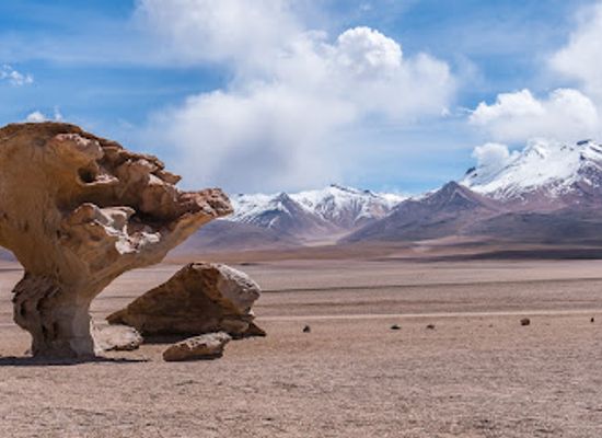 bolivia/andean-valleys/landmark/arbol-de-piedra